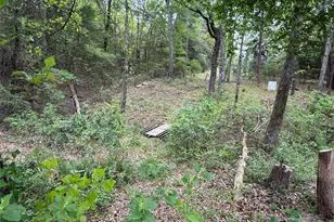 1014 Co Rd 3226, Quitman, TX 75783 - Photo 20