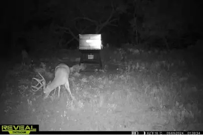 3873 N US Highway 87, Brady, TX 76825 - Photo 36