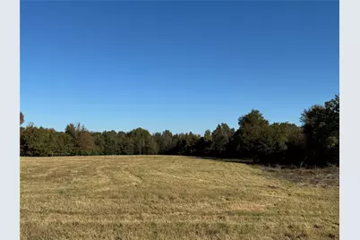 42 Acres County Road 2400, Pickton, TX 75471 - Photo 4