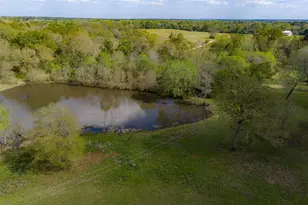 5257 Farm To Market Road 228, Grapeland, TX 75844 - Photo 18