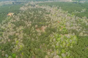 845 FM 31, De Berry, TX 75639 - Photo 24