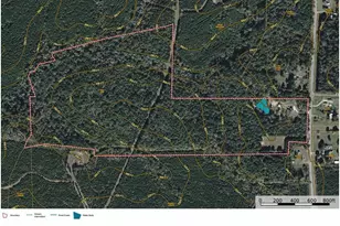 845 FM 31, De Berry, TX 75639 - Photo 38