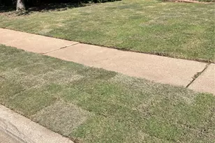 258 Willingham Dr, Coppell, TX 75019 - Photo 2