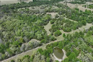 Tbd Mitchell Rd, Kosse, TX 76653 - Photo 28