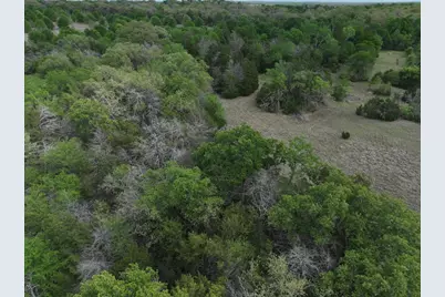 Tbd Mitchell Road, Kosse, TX 76653 - Photo 18