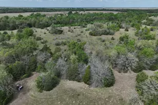 Tbd Mitchell Rd, Kosse, TX 76653 - Photo 14