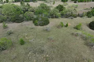 Tbd Mitchell Rd, Kosse, TX 76653 - Photo 20