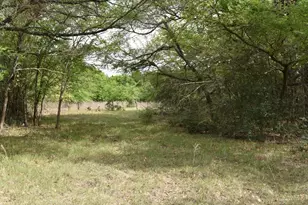 Tbd Mitchell Rd, Kosse, TX 76653 - Photo 2