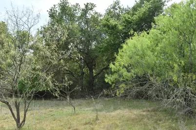 Tbd Mitchell Road, Kosse, TX 76653 - Photo 4