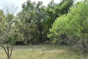 Tbd Mitchell Rd, Kosse, TX 76653 - Photo 4