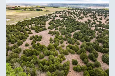 Tbd Fm 128, Cooper, TX 75432 - Photo 8