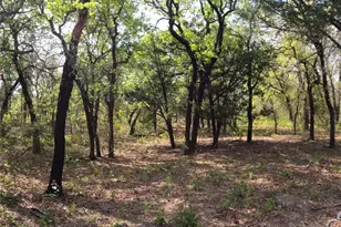 2113 Jeremy St, Tolar, TX 76476 - Photo 1