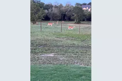 1052 Winecup Lane, Weatherford, TX 76085 - Photo 38