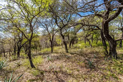 4261 Estancia Way, Fort Worth, TX 76108 - Photo 8