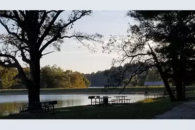 7413 Quail Hollow Court, LaRue, TX 75770 - Photo 16