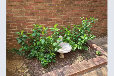 1914 Shorewood Drive, Grapevine, TX 76051 - Photo 4