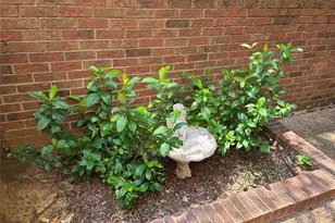 1914 Shorewood Dr, Grapevine, TX 76051 - Photo 4