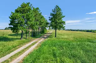 1200 Co Rd 1215, Savoy, TX 75479 - Photo 8