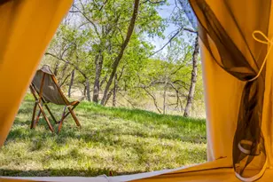 1290 Riverview Rd, Millsap, TX 76066 - Photo 1