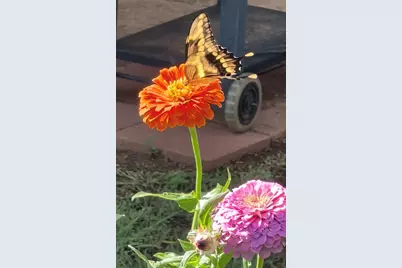 432 Clark Road, Abilene, TX 79602 - Photo 16