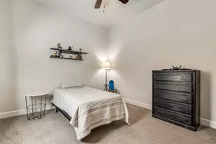 4724 Raspberry Spar Ct, Arlington, TX 76005 - Photo 20