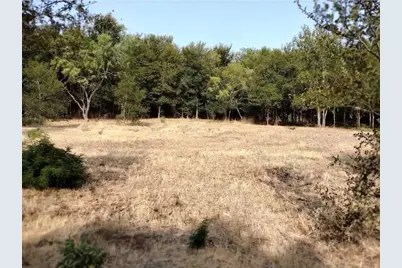 4139 Vista Oak Drive, Royse City, TX 75189 - Photo 6