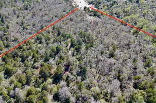 100 Pr 617, Kosse, TX 76653 - Photo 2