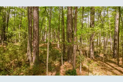 1723 Pineview Lane, Hideaway, TX 75771 - Photo 14