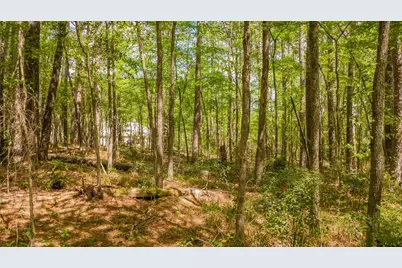 1723 Pineview Lane, Hideaway, TX 75771 - Photo 22