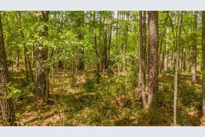 1723 Pineview Lane, Hideaway, TX 75771 - Photo 1