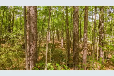 1723 Pineview Lane, Hideaway, TX 75771 - Photo 16