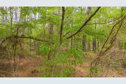 1723 Pineview Lane, Hideaway, TX 75771 - Photo 28
