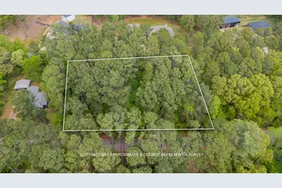 1723 Pineview Lane, Hideaway, TX 75771 - Photo 4