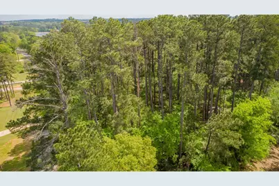 1723 Pineview Lane, Hideaway, TX 75771 - Photo 10