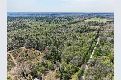 55+/- Acres County Road 4223, Simms, TX 75574 - Photo 6