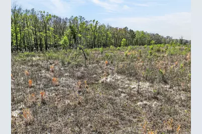 55+/- Acres County Road 4223, Simms, TX 75574 - Photo 12