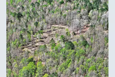 55+/- Acres County Road 4223, Simms, TX 75574 - Photo 8