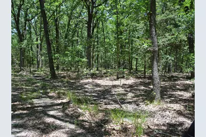 Tbd County Road 14590, Pattonville, TX 75468 - Photo 4