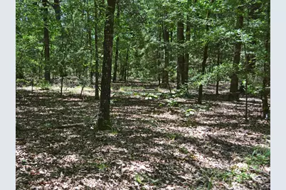 Tbd County Road 14590, Pattonville, TX 75468 - Photo 2