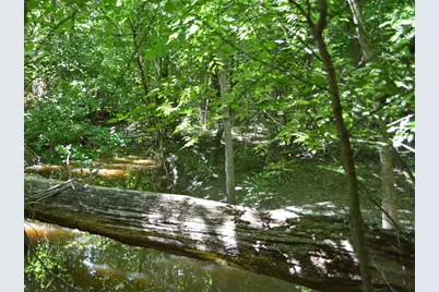 Tbd County Road 14590, Pattonville, TX 75468 - Photo 6