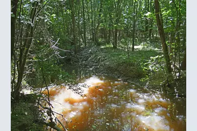 Tbd County Road 14590, Pattonville, TX 75468 - Photo 8