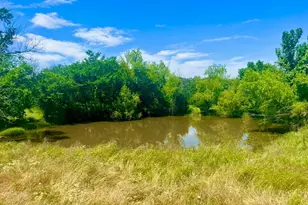 Lot 99 Arlow Rd, Poolville, TX 76487 - Photo 1