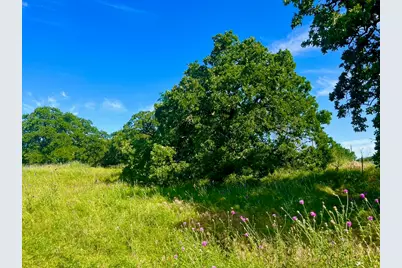 Lot 55 & 56 Kilkenny Road, Poolville, TX 76487 - Photo 6