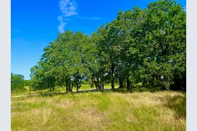 Lot 55 & 56 Kilkenny Road, Poolville, TX 76487 - Photo 2