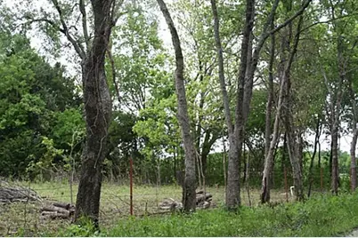 00000 County Road 4910, Trenton, TX 75490 - Photo 18