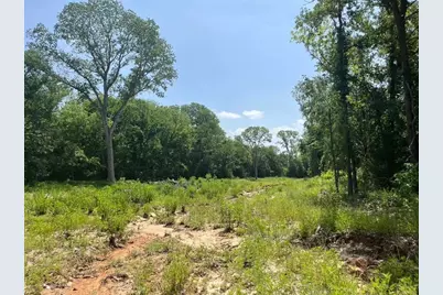 Lot 45 Antrim Ct, Poolville, TX 76487 - Photo 1