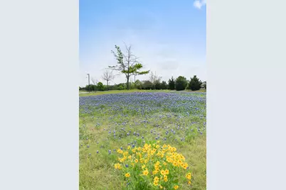 520 Alden Way, Allen, TX 75013 - Photo 38