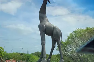 1247 Georgia Ave, Dallas, TX 75216 - Photo 22