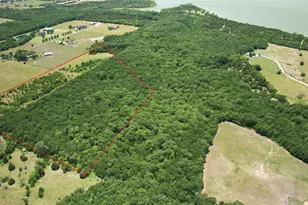 2787 Lonesome Dove, Farmersville, TX 75442 - Photo 1