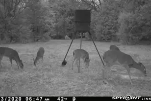 15301 Co Rd 4018, Kemp, TX 75143 - Photo 26